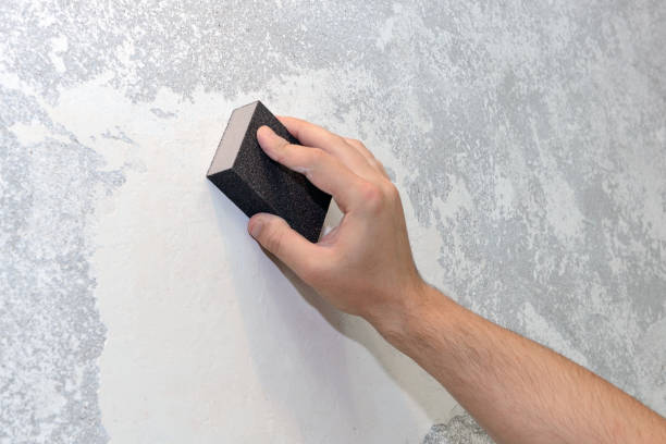 Mold Documentation for Insurance Claims in Clearview, WA