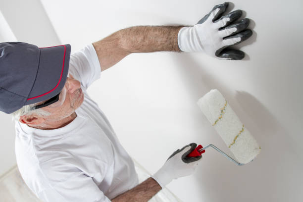 Best Mold Removal for HVAC Installations  in Clearview, WA
