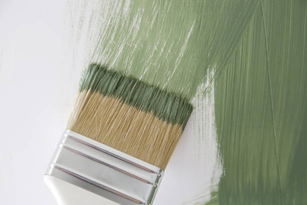Best Mold Remediation for Healthcare Facilities  in Clearview, WA