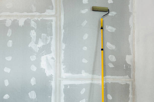 Mold Remediation for Rental Properties in Clearview, WA