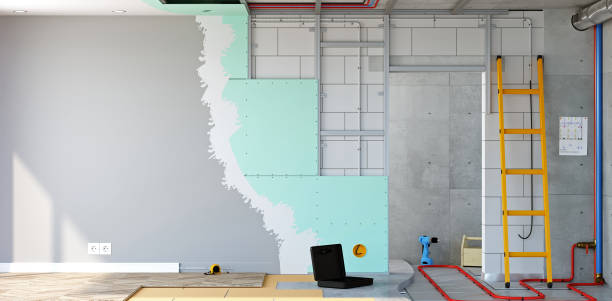 Clearview, WA Mold Removal Company