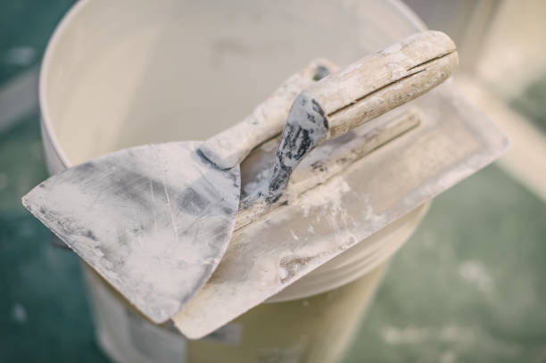 Best Environmental Consulting for Mold Prevention  in Clearview, WA